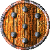 Wooden Shield.gif