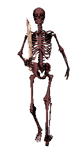 Skeletonv3.gif
